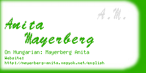 anita mayerberg business card